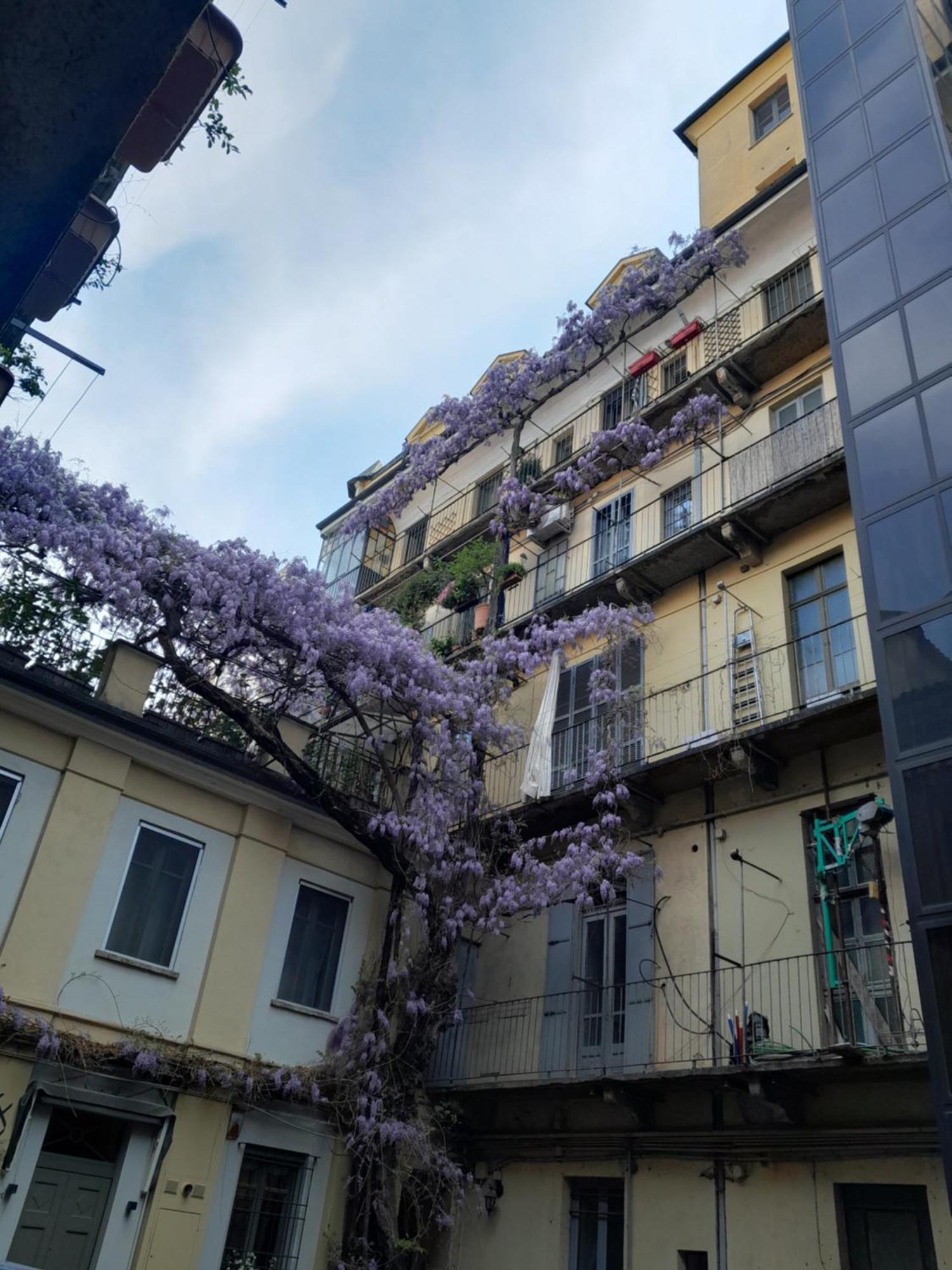 Alloggio Torino Inquadro Экстерьер фото